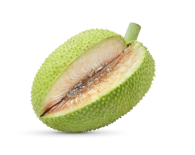 Breadfruit isolated