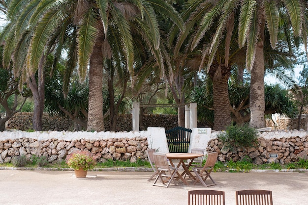 breakfast table under palm trees in the turtle garden yard surrounded by pink sandstone fence