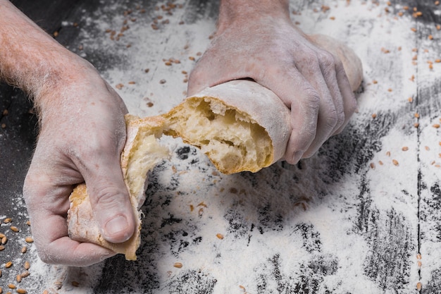 Breaking fresh bread. Baking and cooking concept. Hands tearing apart loaf on rustic wooden table sprinkled with flour. Stained dirty hands of baker. Soft toning