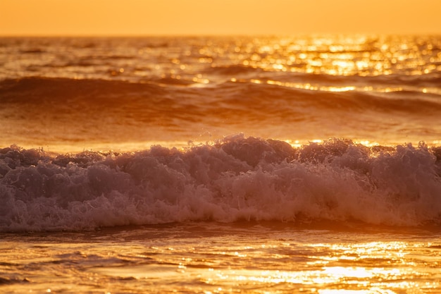 Breaking ocean wave on sunset