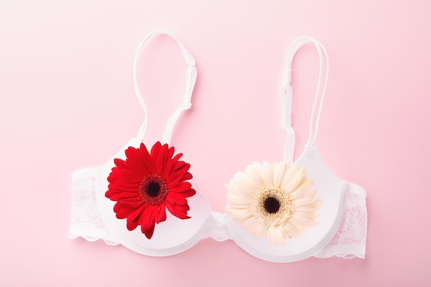 https://img.freepik.com/premium-photo/breast-cancer-awareness-ribbon-white-red-bra-gerberas-with-pink-ribbon-tape-lying-female-bra-backgrounds-breast-cancer-awareness-october-pink-day-world-cancer-day-top-view-mock-up_253362-19034.jpg