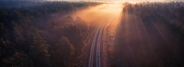 雄大な秋の森を疾走する息を呑む列車