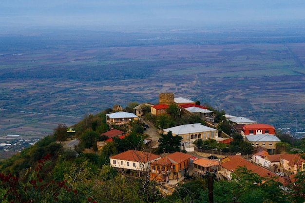 A breathtaking view from above of the town of Signagi lots of greenery and small houses