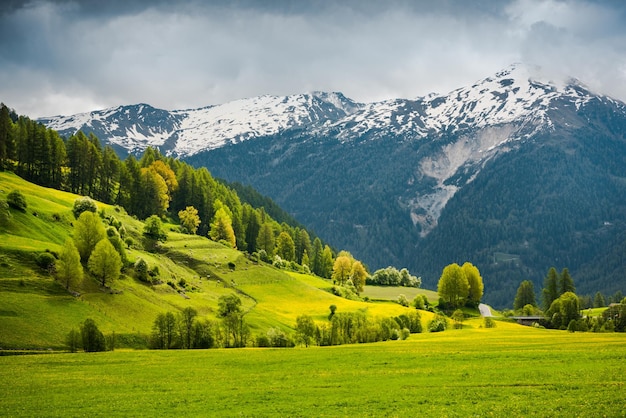 알프스 산맥의 스위스에서 여름 색상의 숨막히는 전경