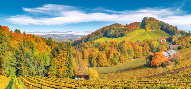 Breathtaking vineyards landscape in South Styria near Gamlitz