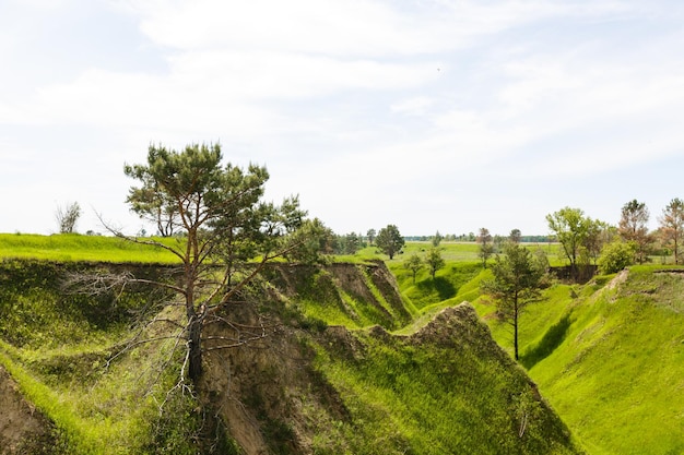 Brede groene velden met een kloof