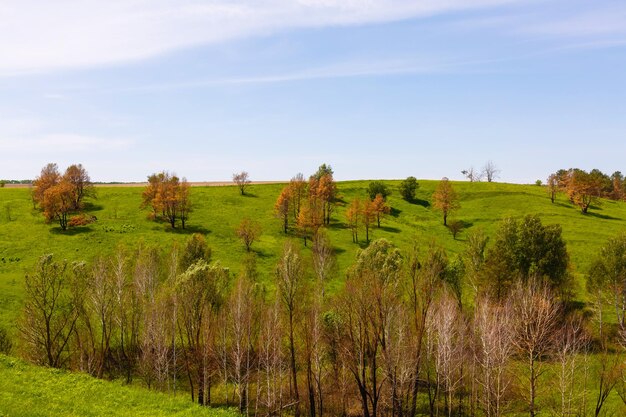 Brede groene velden met een kloof