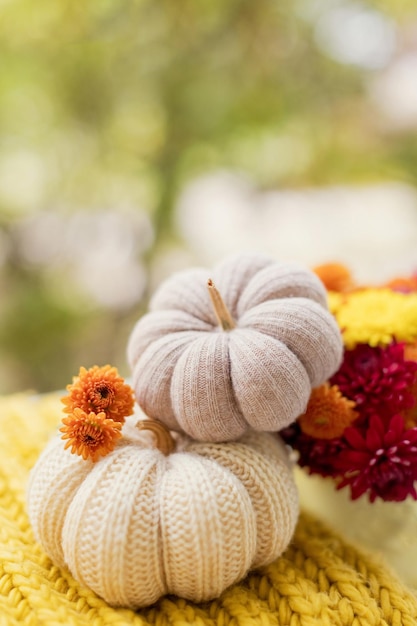 Brei buiten een pompoen- en chrysantboeket