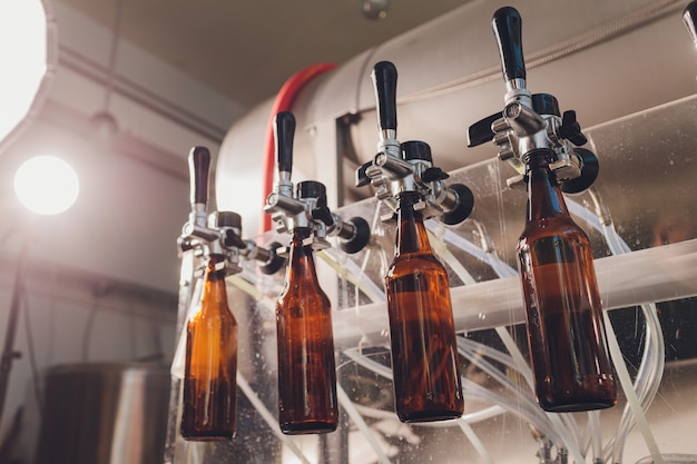 Brewery factory spilling beer into glass bottles on conveyor lines. Industrial work, automated production of food and drinks. Technological work at the factory.