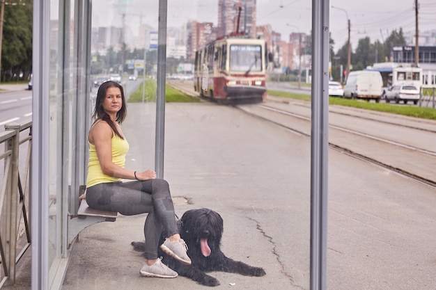 Foto briard e la proprietaria stanno aspettando il tram mentre sono seduti sulla fermata dei mezzi pubblici durante il giorno.