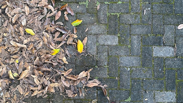 A brick sidewalk with leaves on it and a person walking on it.