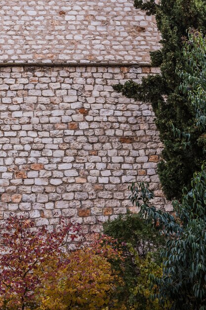 Brick texture old vintage background dirty aged and rust stone surface facade