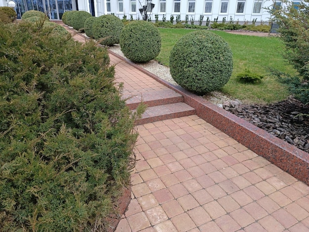 A brick walkway with a few bushes on it