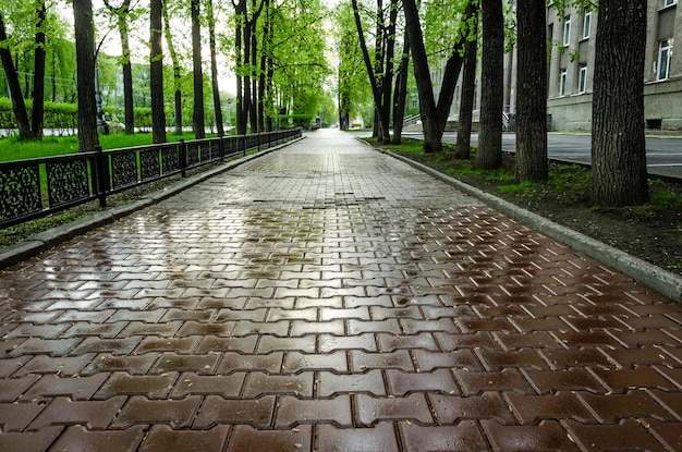 雨のしずくがかかるレンガの通路