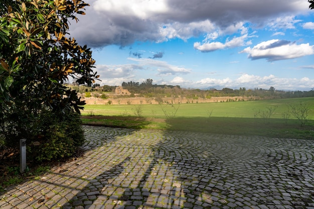 A brick walkway with a tree in the background