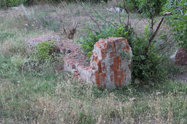 Photo a brick wall in a field