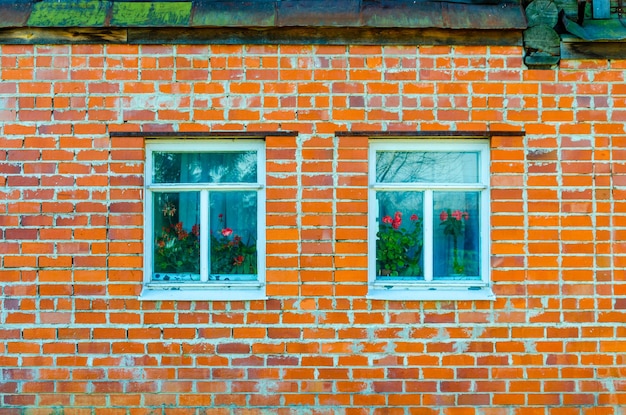 Brick wall of a house with two windows.