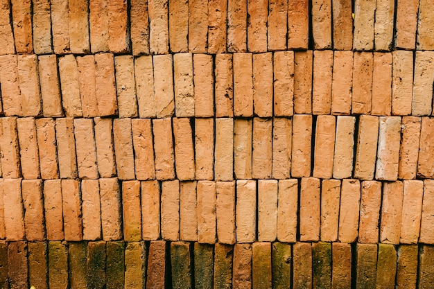 Struttura dell'annata del muro di mattoni