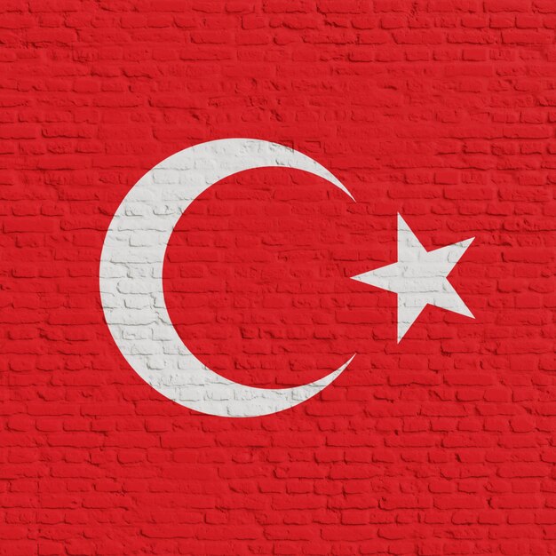 トルコの旗が描かれたレンガの壁