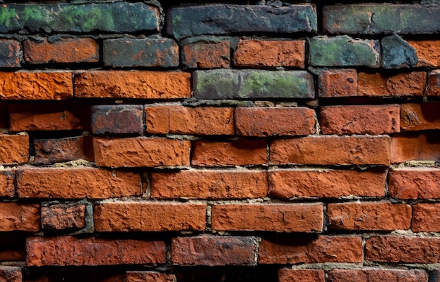 a brick wall with a green moss on it