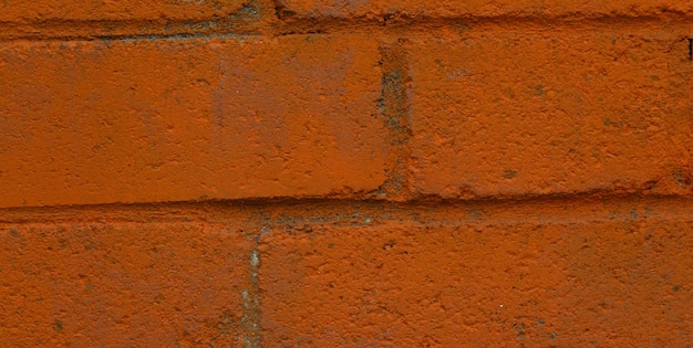 A brick wall with a red brick that says'the word " on it