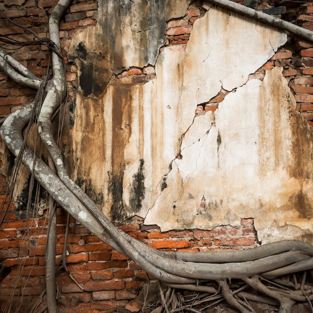 Muro di mattoni con tronco d'albero