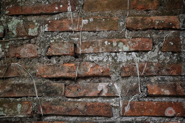 A brick wall with a white line on it