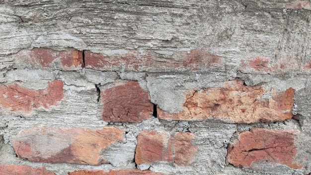 A brick wall with a wooden plank that says'the word'on it '