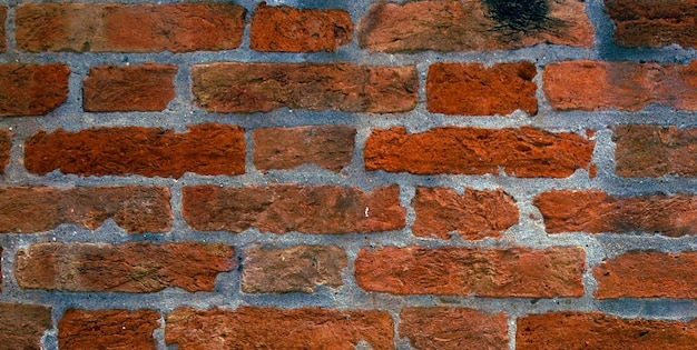 A brick wall with the word " brick " on it