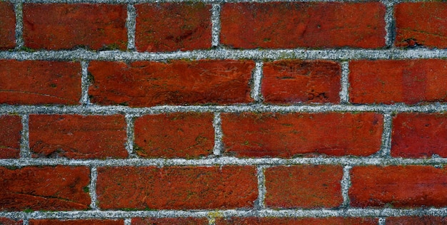 A brick wall with the word " on it " on it