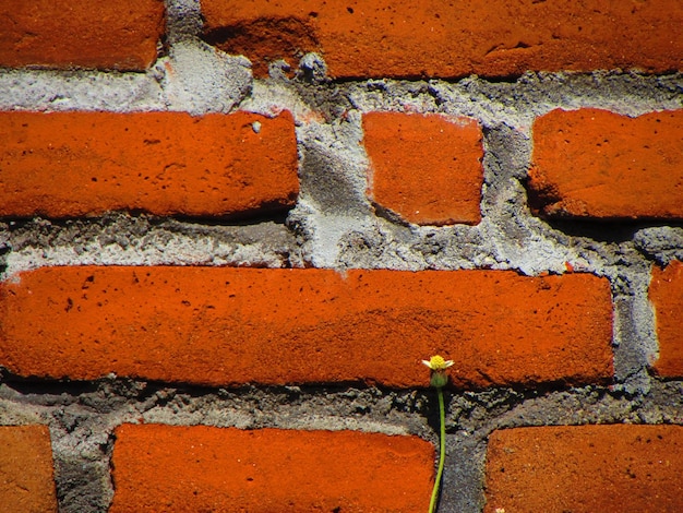 A brick wall with a yellow flower in the middle of it