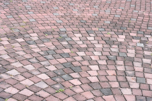 The bricks are neatly arranged walkway