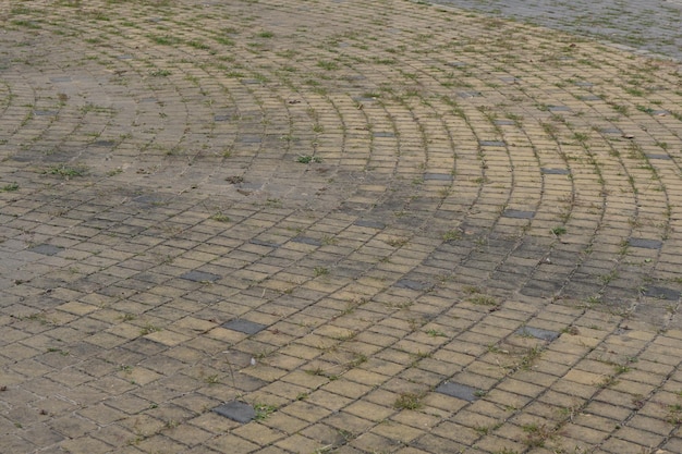 The bricks are neatly arranged walkway