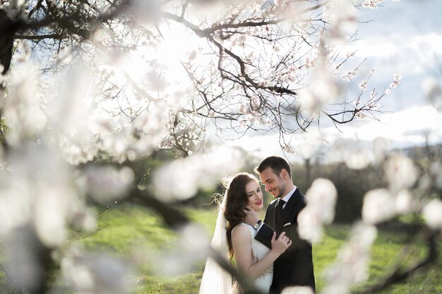 写真 緑の森の新郎新婦