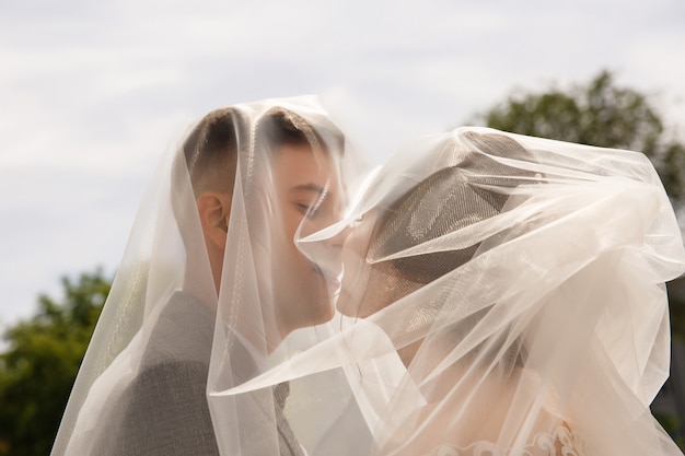 사진 결혼식 베일 아래 신부와 신랑의 키스