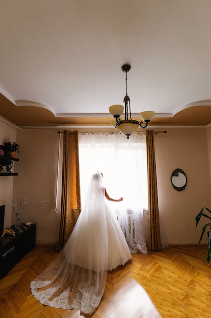 Bride in a beautiful dress and bridal