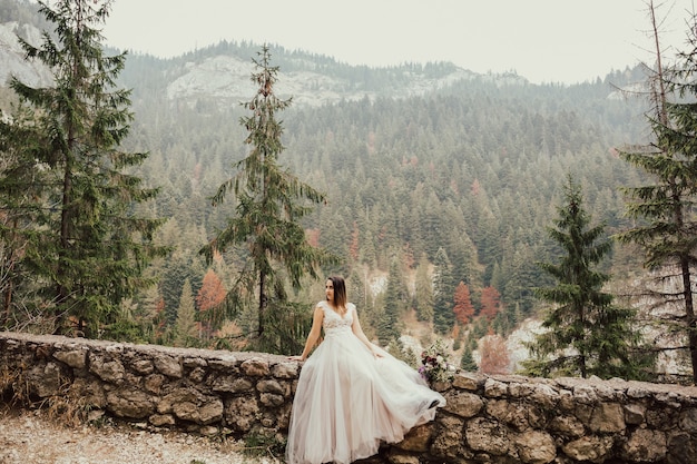 Sposa in un bel vestito di posa su roccia con sfondo verde pineta.