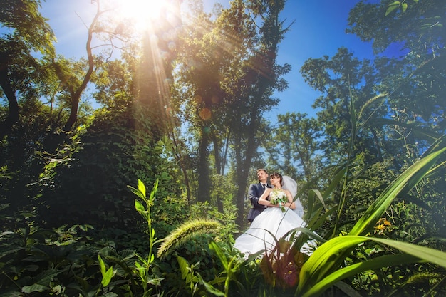 Bride and groom in amazing summer green forest