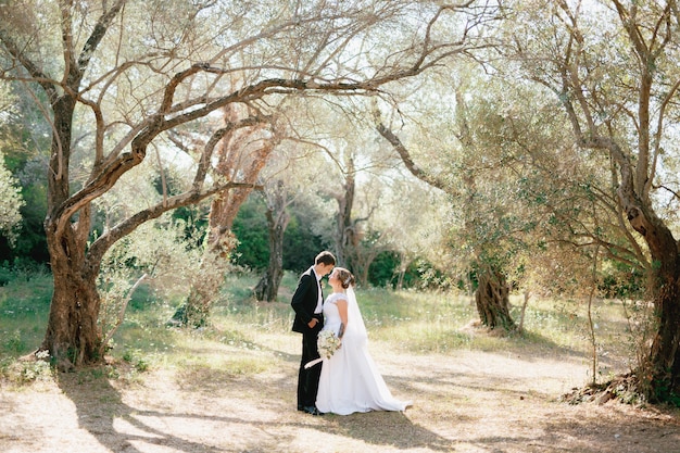 The bride and groom are embracing in an olive grove