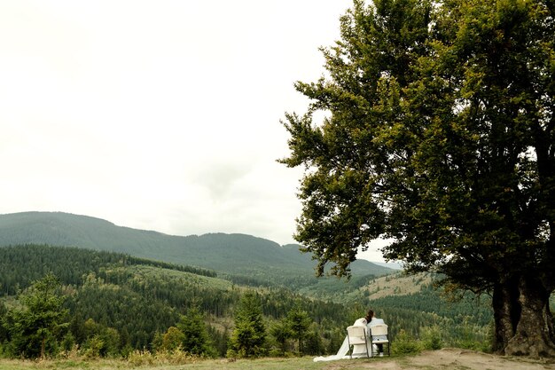 The bride and groom are sitting on wedding chairs under a large tree against the backdrop of mountains