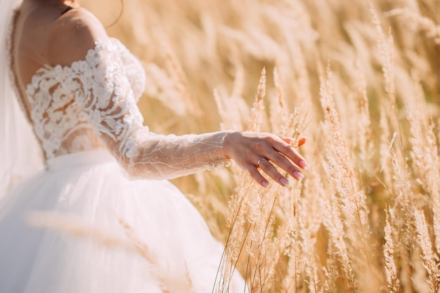 The bride and groom are walking through a wheat field in summer 4248