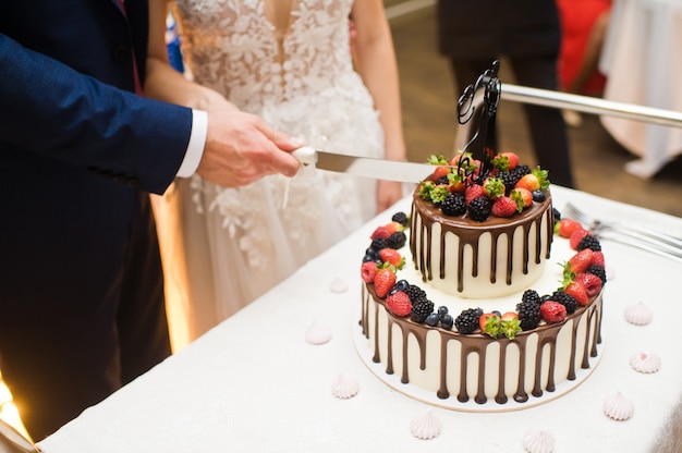 The bride and groom cut the chocolate wedding cake.