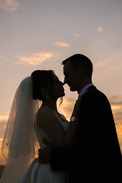 Жених и невеста обнимаются и стоят спиной к закату
