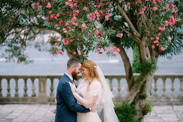 Bride and groom hugging on a stone terrace near a blooming tree