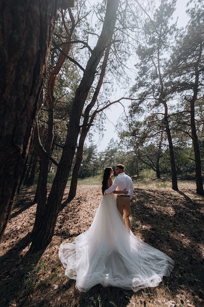 Bride and groom. Luxurious young couple of newlyweds in love posing for the first family wedding photo shoot