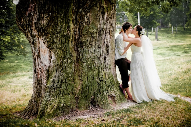 the bride and groom near old wood in summer