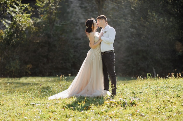 The bride and groom on the sunny glade.