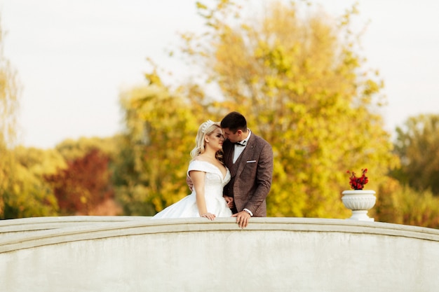 The bride and groom walk together in the park. Charming bride in a white dress, the groom is dressed in a dark elegant suit