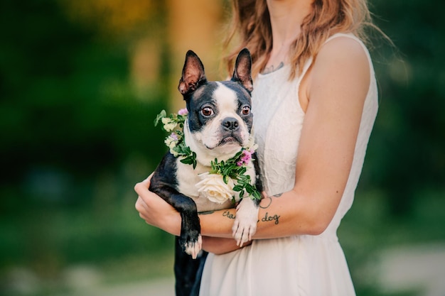 彼女の犬と一緒にウェディング ドレスの花嫁。ペットに優しい結婚式。