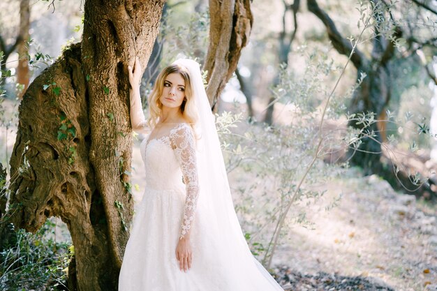 La sposa in abito bianco con velo si trova vicino a un albero nel parco